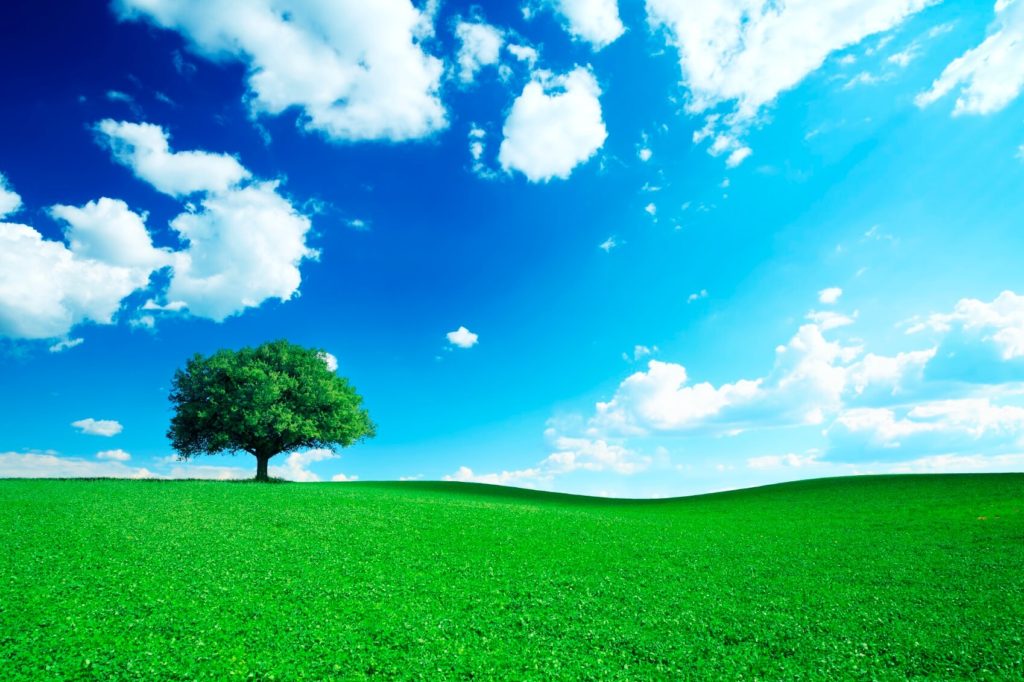 Pollution insurance partnerone environmental