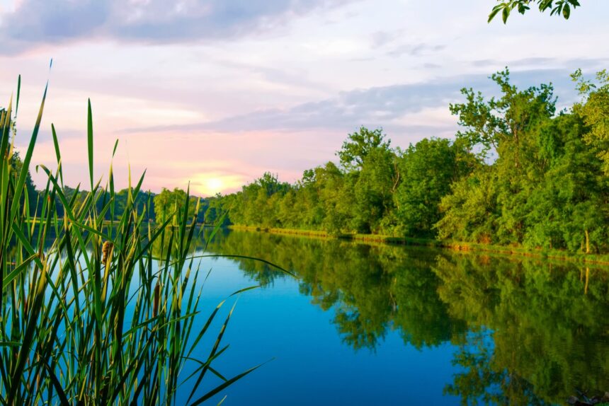 Lake Purple Sky Trees