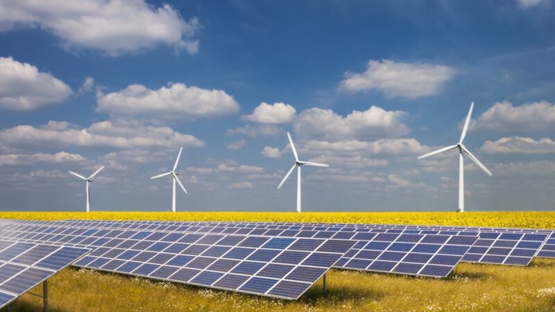 Three renewable energy sources; Four wind turbines turn under a blue sky dotted with clouds. In the foreground five rows of solar panels can be seen the with oilseed rape crop being grown between them.