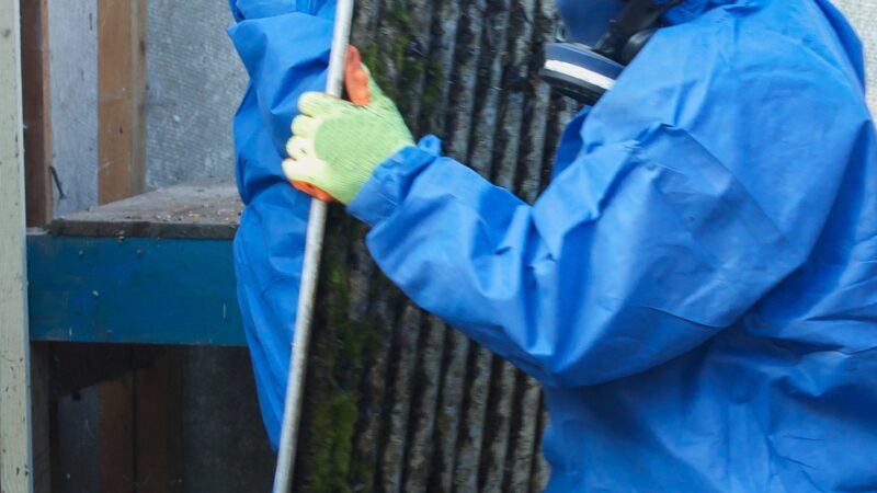Asbestos corrugated roofing sheet being removed and sealed